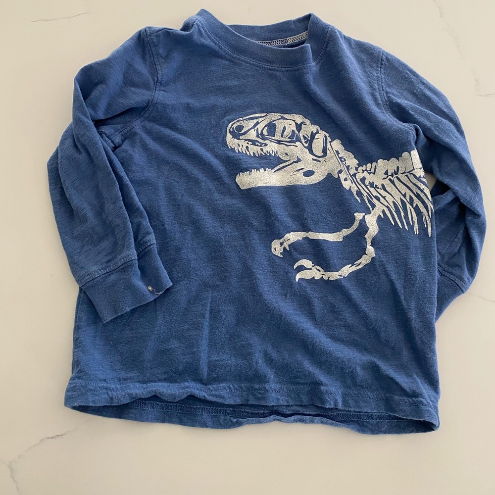 Kids Dino Skelton shirt.